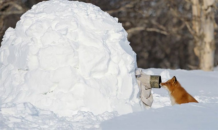 Crazy photographers who will do ANYTHING for the perfect shot